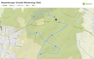 Neuenburger Urwald Winterweg