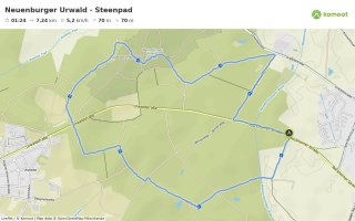 Neuenburger Urwald Steenpad