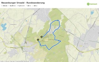 Neuenburger Urwald 