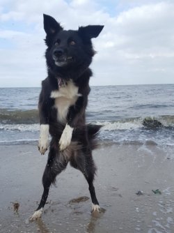Dancing at the beach