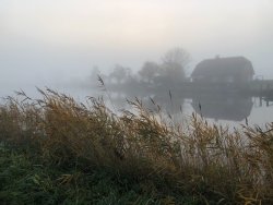Vareler Hafen im Nebel
