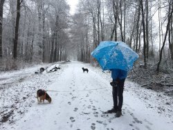 Mann in Blau im Schnee